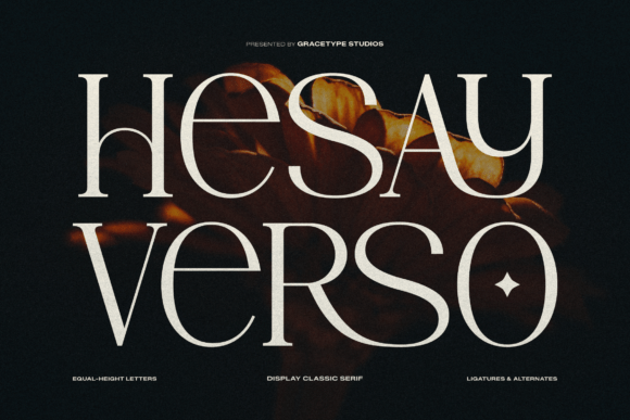 Hesay Verso Serif Font for Modern Web Design
