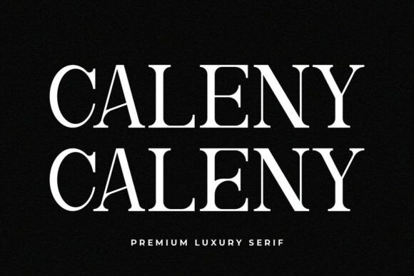 How Caleny Transformed My Brand’s Visual Identity