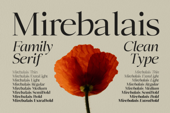 Mirebalais: A Serif Font for Professional Branding